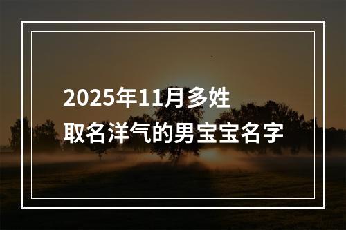 2025年11月多姓取名洋气的男宝宝名字