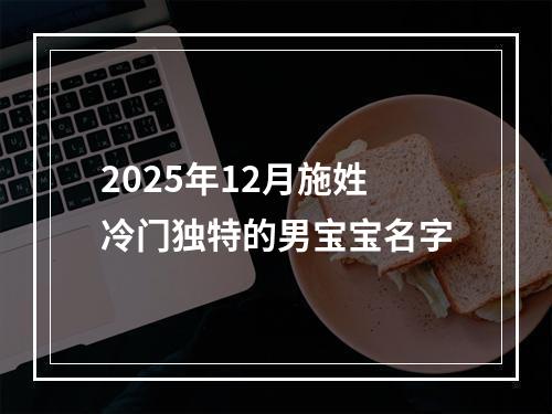 2025年12月施姓冷门独特的男宝宝名字