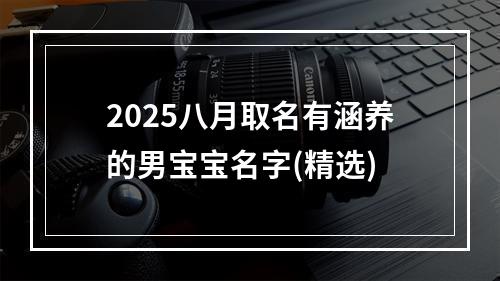 2025八月取名有涵养的男宝宝名字(精选)