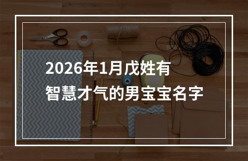 2026年1月戊姓有智慧才气的男宝宝名字