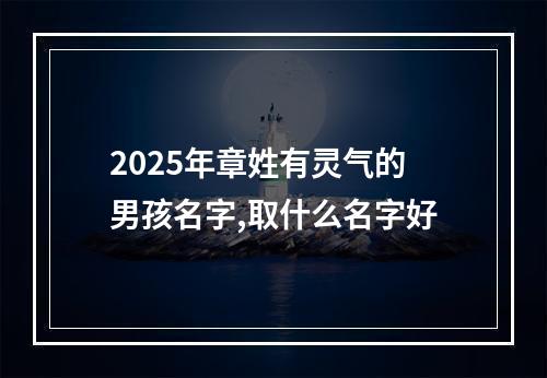 2025年章姓有灵气的男孩名字,取什么名字好