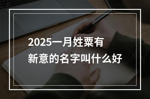 2025一月姓粟有新意的名字叫什么好