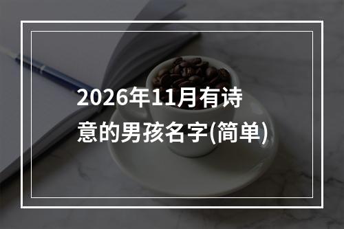 2026年11月有诗意的男孩名字(简单)