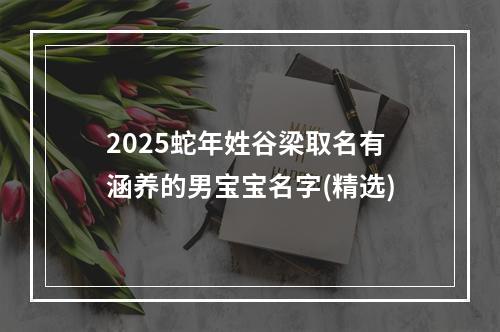 2025蛇年姓谷梁取名有涵养的男宝宝名字(精选)
