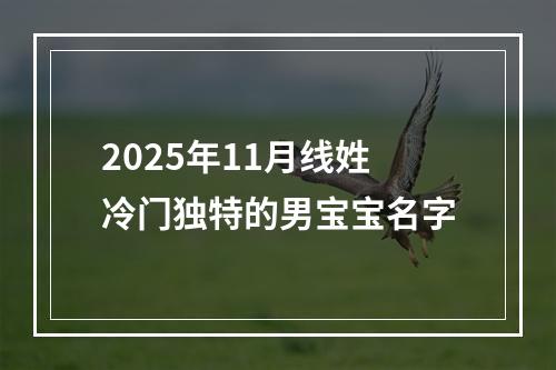 2025年11月线姓冷门独特的男宝宝名字