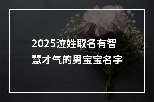 2025泣姓取名有智慧才气的男宝宝名字