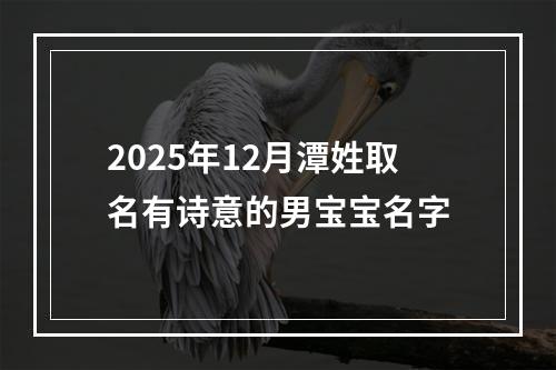 2025年12月潭姓取名有诗意的男宝宝名字