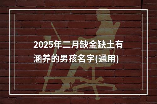 2025年二月缺金缺土有涵养的男孩名字(通用)