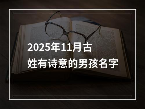 2025年11月古姓有诗意的男孩名字
