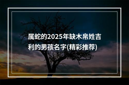 属蛇的2025年缺木帛姓吉利的男孩名字(精彩推荐)