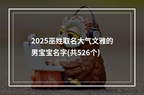 2025巫姓取名大气文雅的男宝宝名字(共526个)