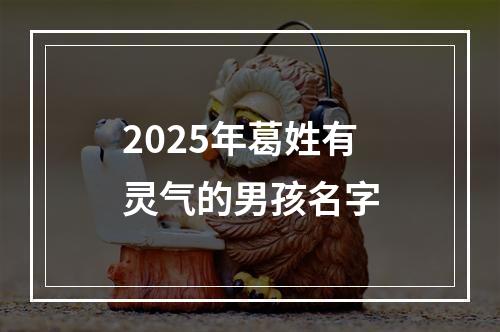 2025年葛姓有灵气的男孩名字