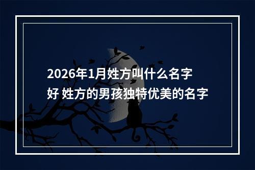 2026年1月姓方叫什么名字好 姓方的男孩独特优美的名字