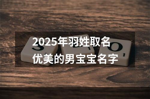 2025年羽姓取名优美的男宝宝名字