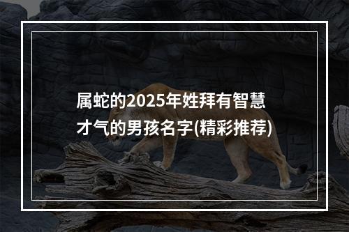 属蛇的2025年姓拜有智慧才气的男孩名字(精彩推荐)