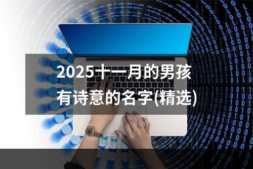 2025十一月的男孩有诗意的名字(精选)