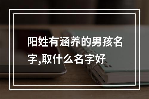 阳姓有涵养的男孩名字,取什么名字好