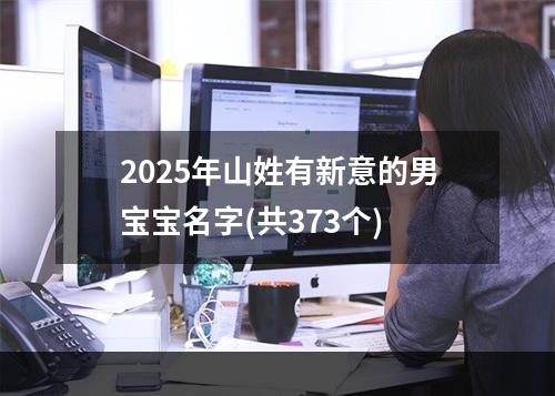 2025年山姓有新意的男宝宝名字(共373个)