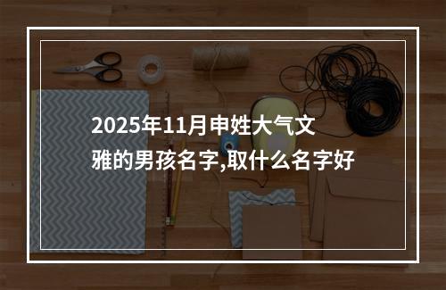 2025年11月申姓大气文雅的男孩名字,取什么名字好