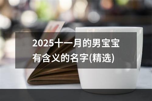 2025十一月的男宝宝有含义的名字(精选)