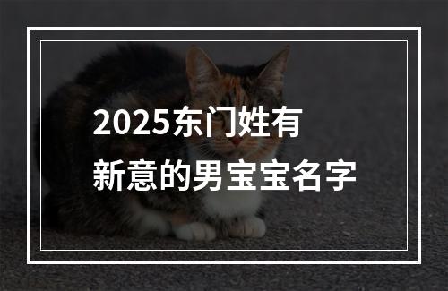 2025东门姓有新意的男宝宝名字