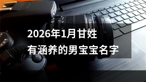 2026年1月甘姓有涵养的男宝宝名字