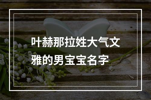 叶赫那拉姓大气文雅的男宝宝名字