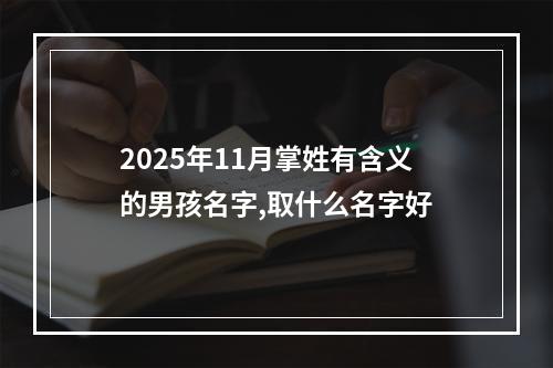 2025年11月掌姓有含义的男孩名字,取什么名字好
