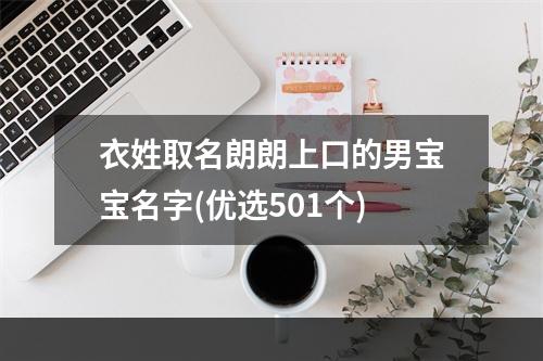 衣姓取名朗朗上口的男宝宝名字(优选501个)