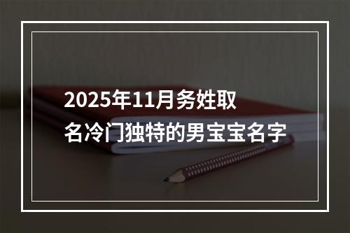 2025年11月务姓取名冷门独特的男宝宝名字