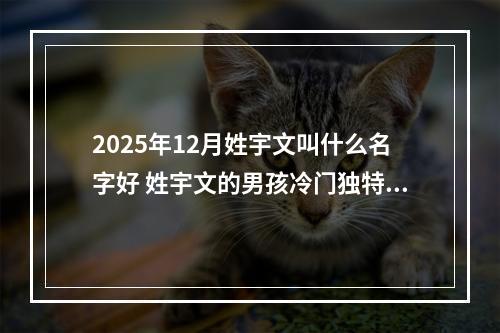 2025年12月姓宇文叫什么名字好 姓宇文的男孩冷门独特的名字