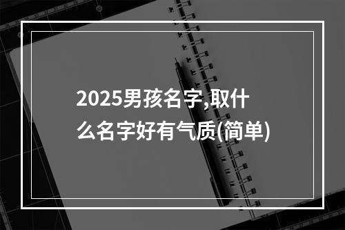2025男孩名字,取什么名字好有气质(简单)