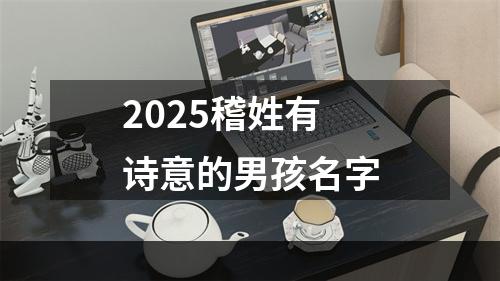 2025稽姓有诗意的男孩名字