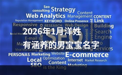 2026年1月洋姓有涵养的男宝宝名字