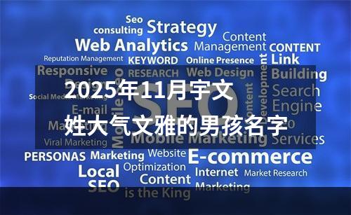 2025年11月宇文姓大气文雅的男孩名字