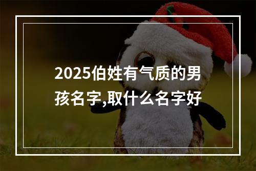 2025伯姓有气质的男孩名字,取什么名字好