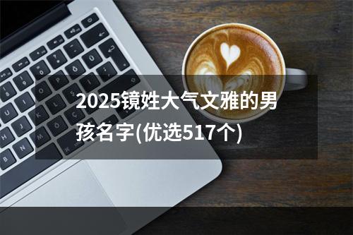 2025镜姓大气文雅的男孩名字(优选517个)
