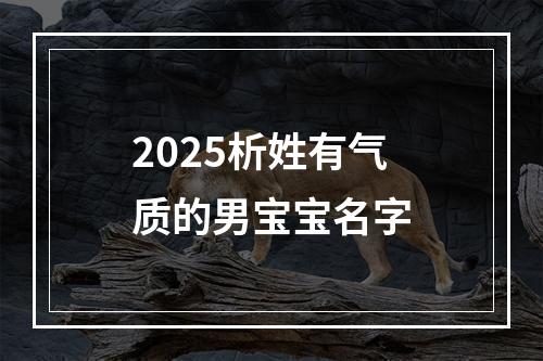2025析姓有气质的男宝宝名字