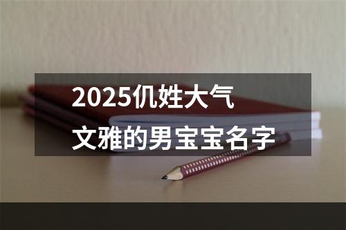 2025仉姓大气文雅的男宝宝名字