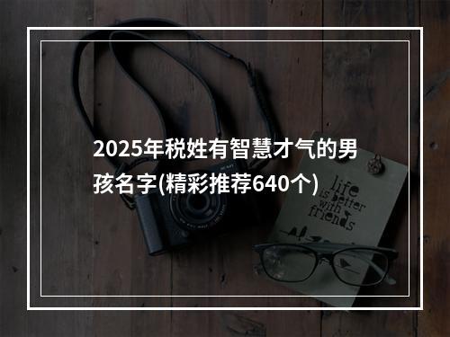 2025年税姓有智慧才气的男孩名字(精彩推荐640个)