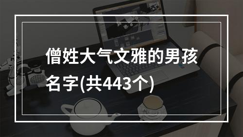 僧姓大气文雅的男孩名字(共443个)