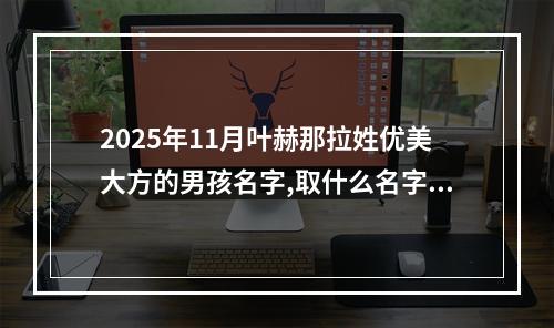 2025年11月叶赫那拉姓优美大方的男孩名字,取什么名字好