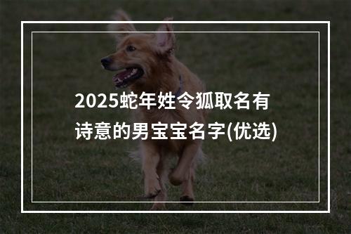 2025蛇年姓令狐取名有诗意的男宝宝名字(优选)