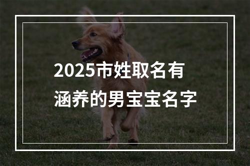 2025市姓取名有涵养的男宝宝名字
