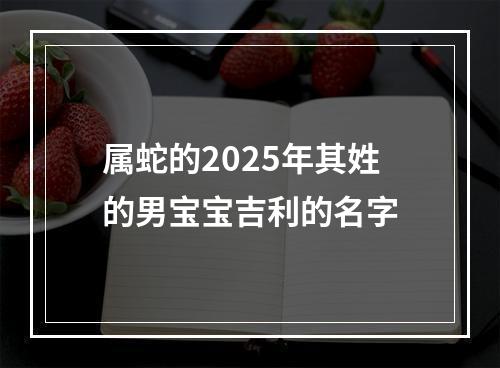 属蛇的2025年其姓的男宝宝吉利的名字