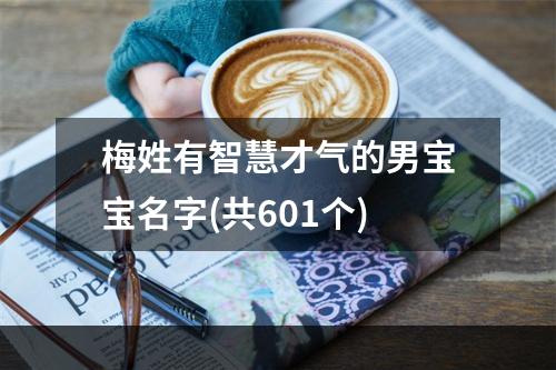 梅姓有智慧才气的男宝宝名字(共601个)