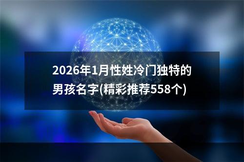 2026年1月性姓冷门独特的男孩名字(精彩推荐558个)