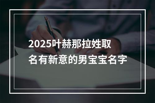2025叶赫那拉姓取名有新意的男宝宝名字