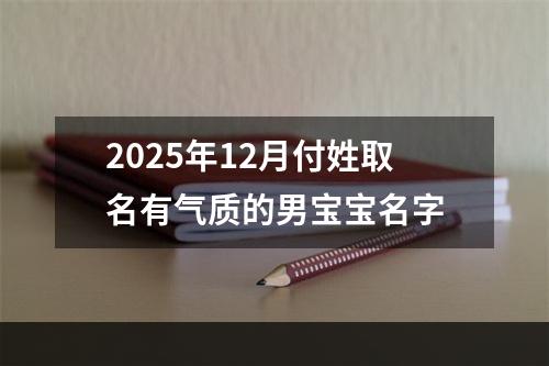 2025年12月付姓取名有气质的男宝宝名字