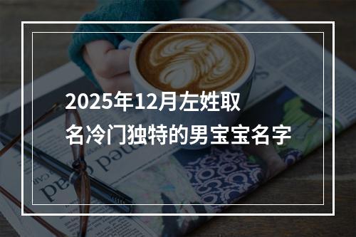 2025年12月左姓取名冷门独特的男宝宝名字